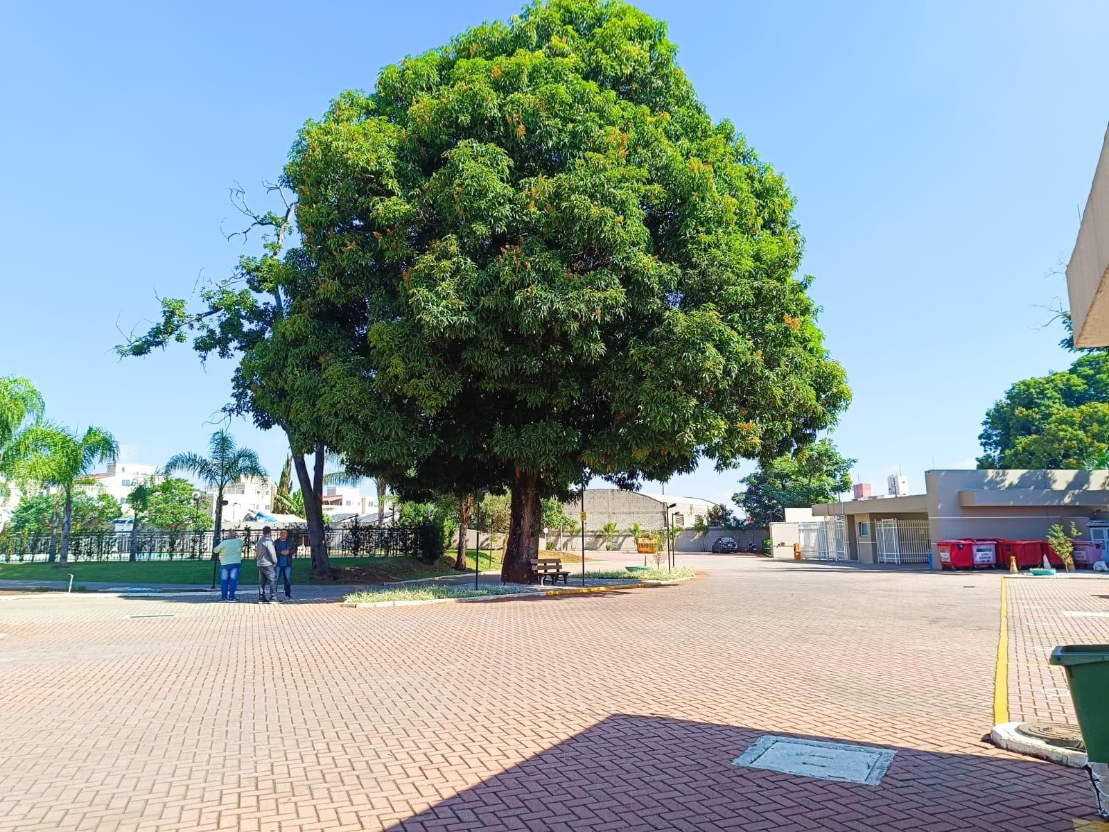 Apartamento, 3 quartos, 66 m² - Foto 2