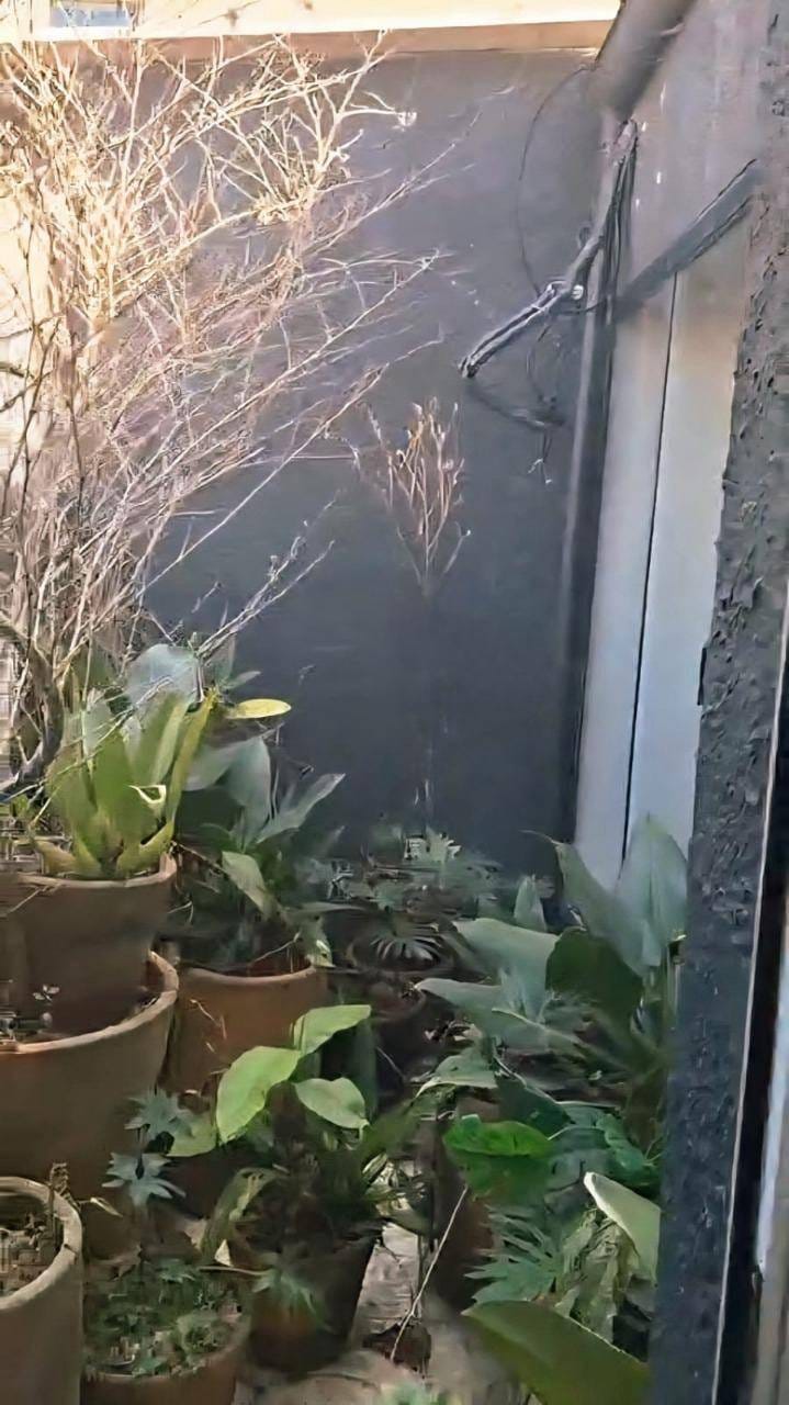 Casa, 125 m² - Foto 5