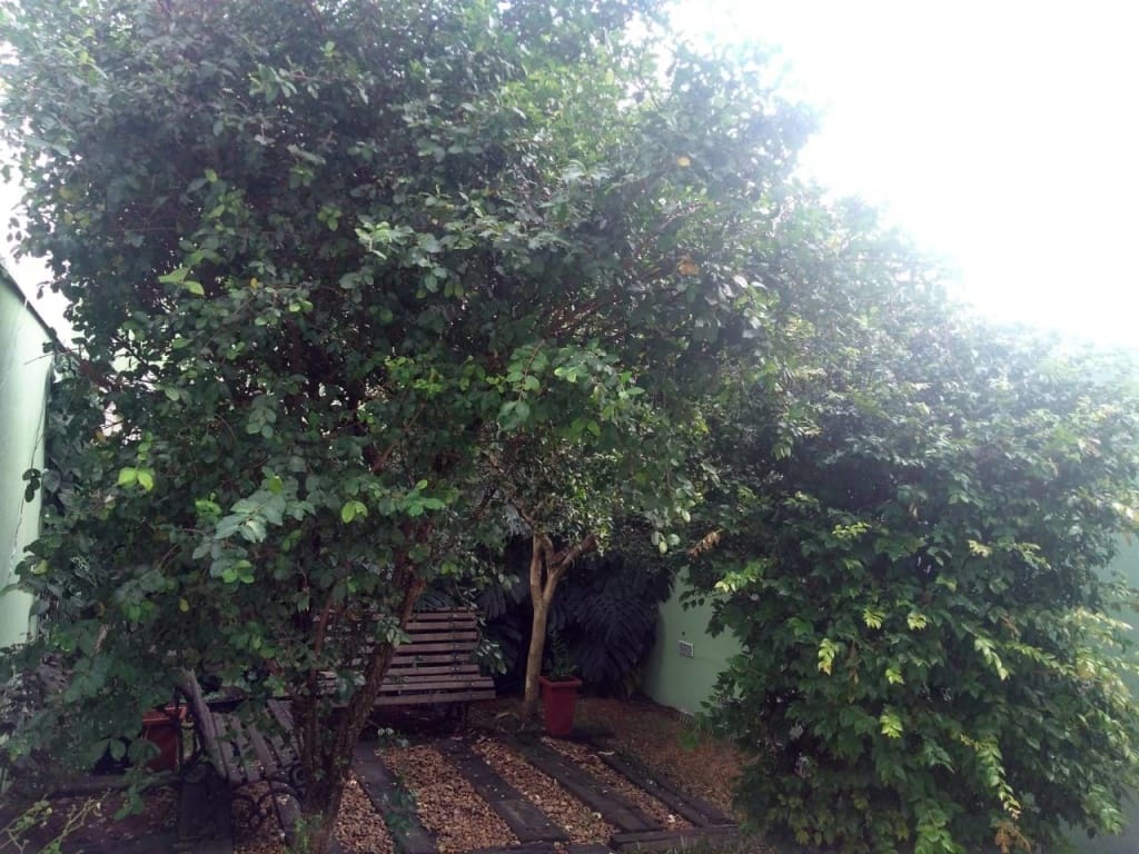 Casa, 3 quartos, 300 m² - Foto 25