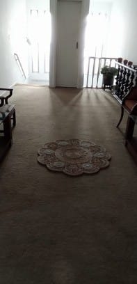 Casa, 5 quartos, 600 m² - Foto 5