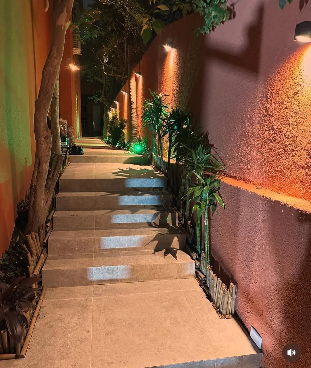 Casa, 3 quartos, 600 m² - Foto 32