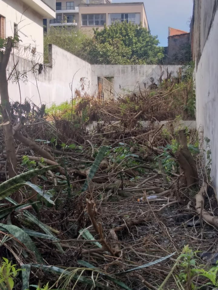 Terreno, 351 m² - Foto 6