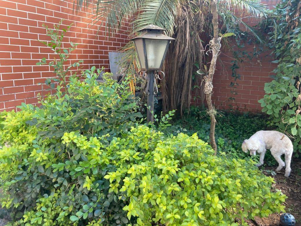 Casa, 5 quartos, 280 m² - Foto 44