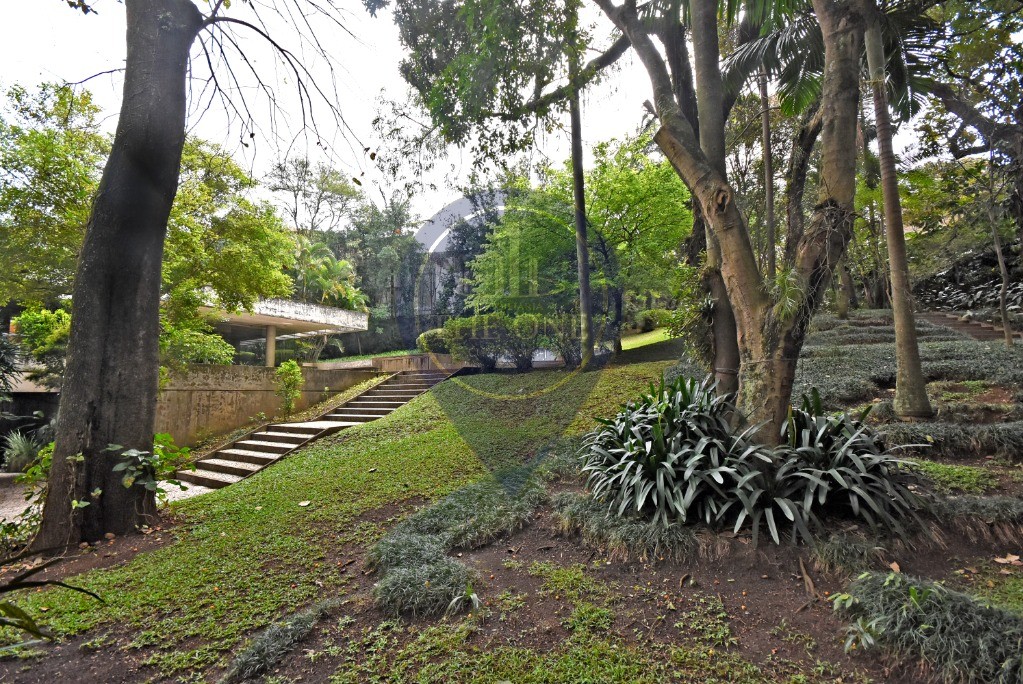 Casa, 3 quartos, 976 m² - Foto 18