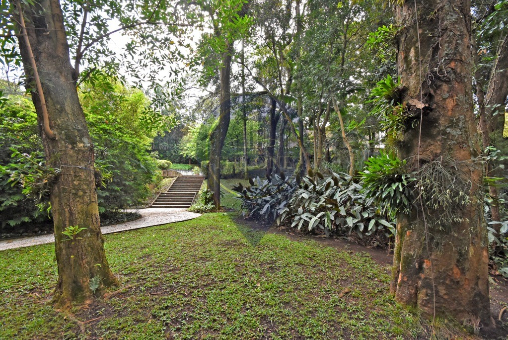 Casa, 3 quartos, 976 m² - Foto 16