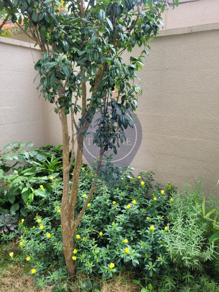 Apartamento, 3 quartos, 103 m² - Foto 39