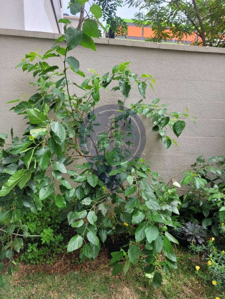 Apartamento, 3 quartos, 103 m² - Foto 41