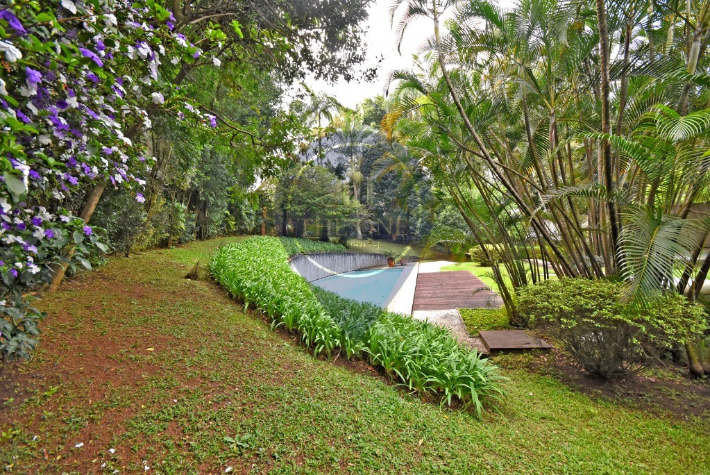 Casa, 3 quartos, 976 m² - Foto 6