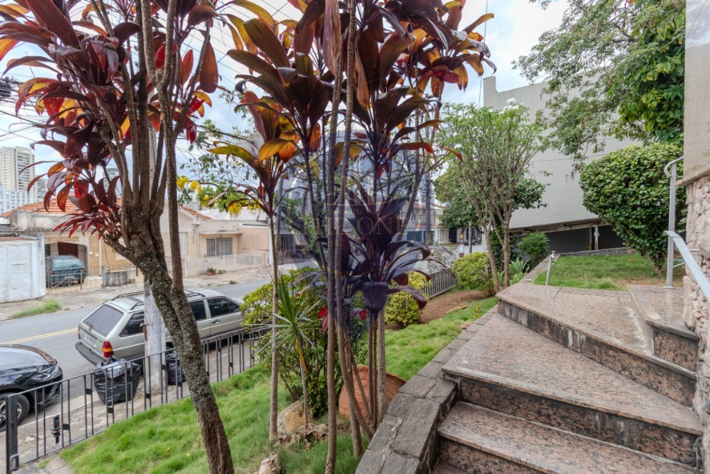 Casa, 4 quartos, 767 m² - Foto 8