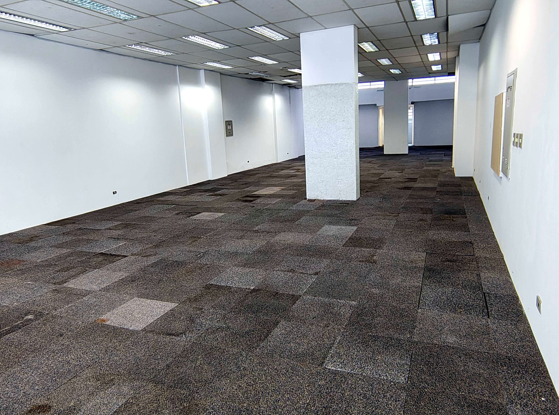 Loja-Salão, 230 m² - Foto 3