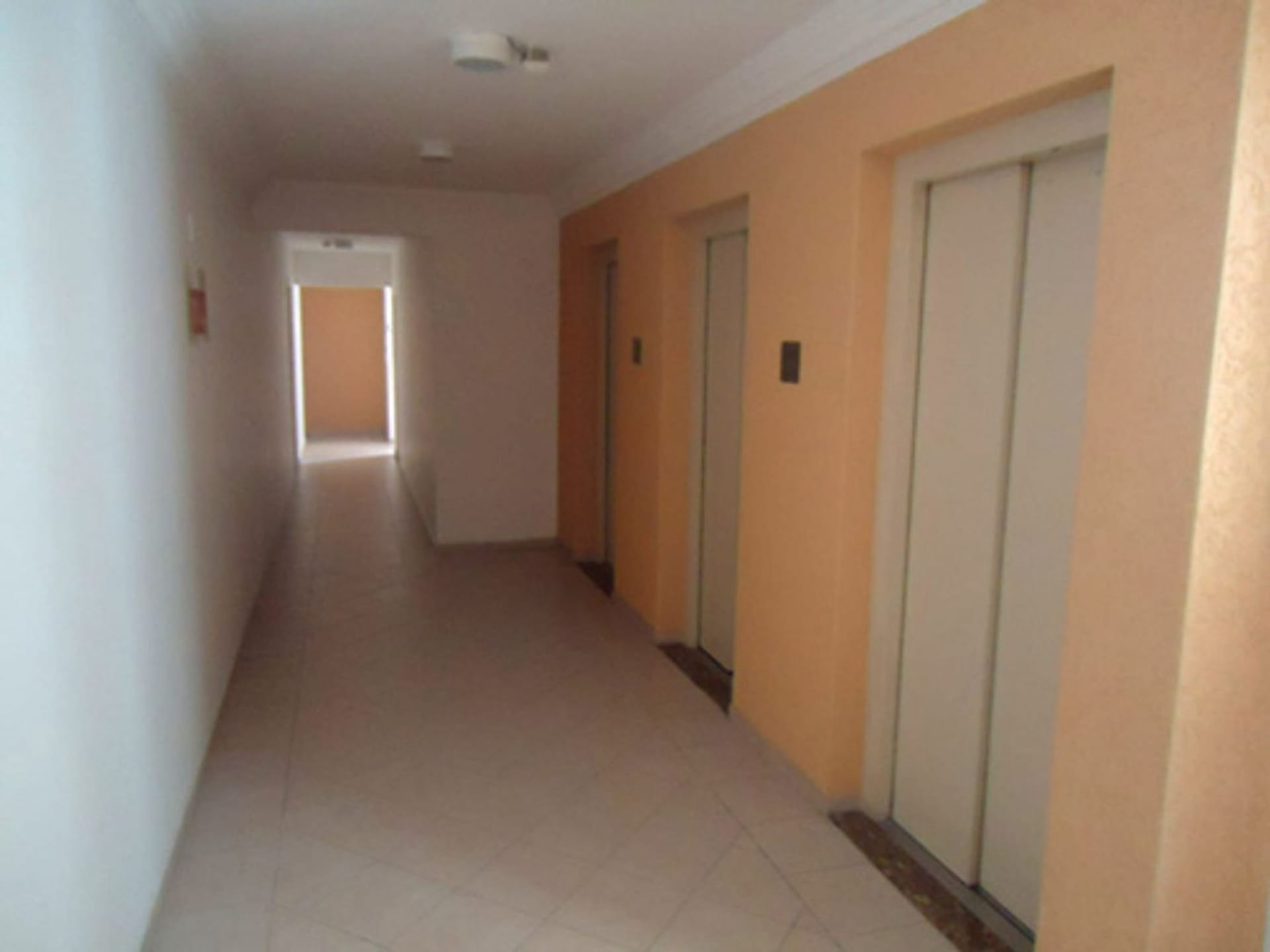 Apartamento, 3 quartos, 65 m² - Foto 13