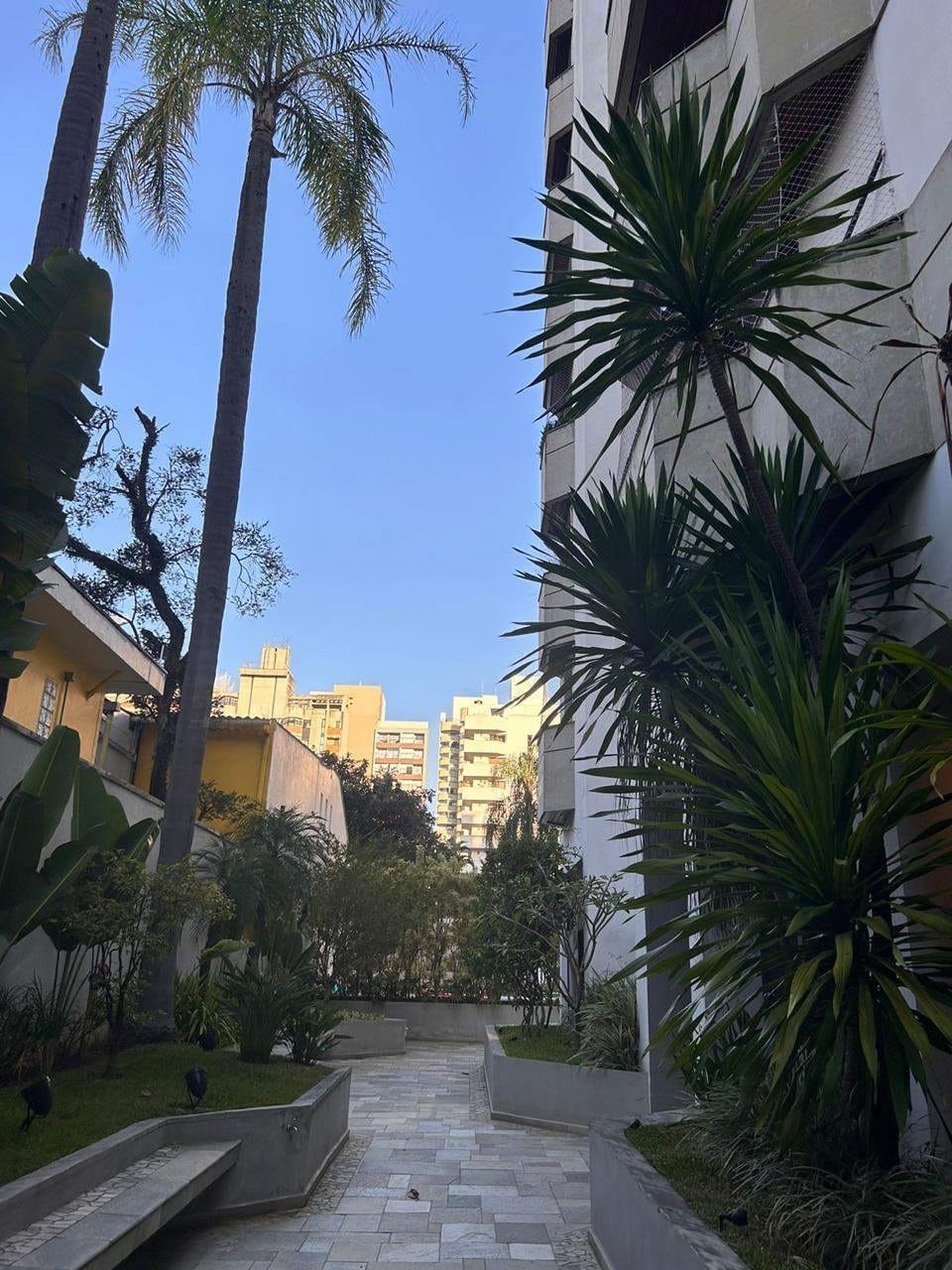 Apartamento, 4 quartos, 220 m² - Foto 4