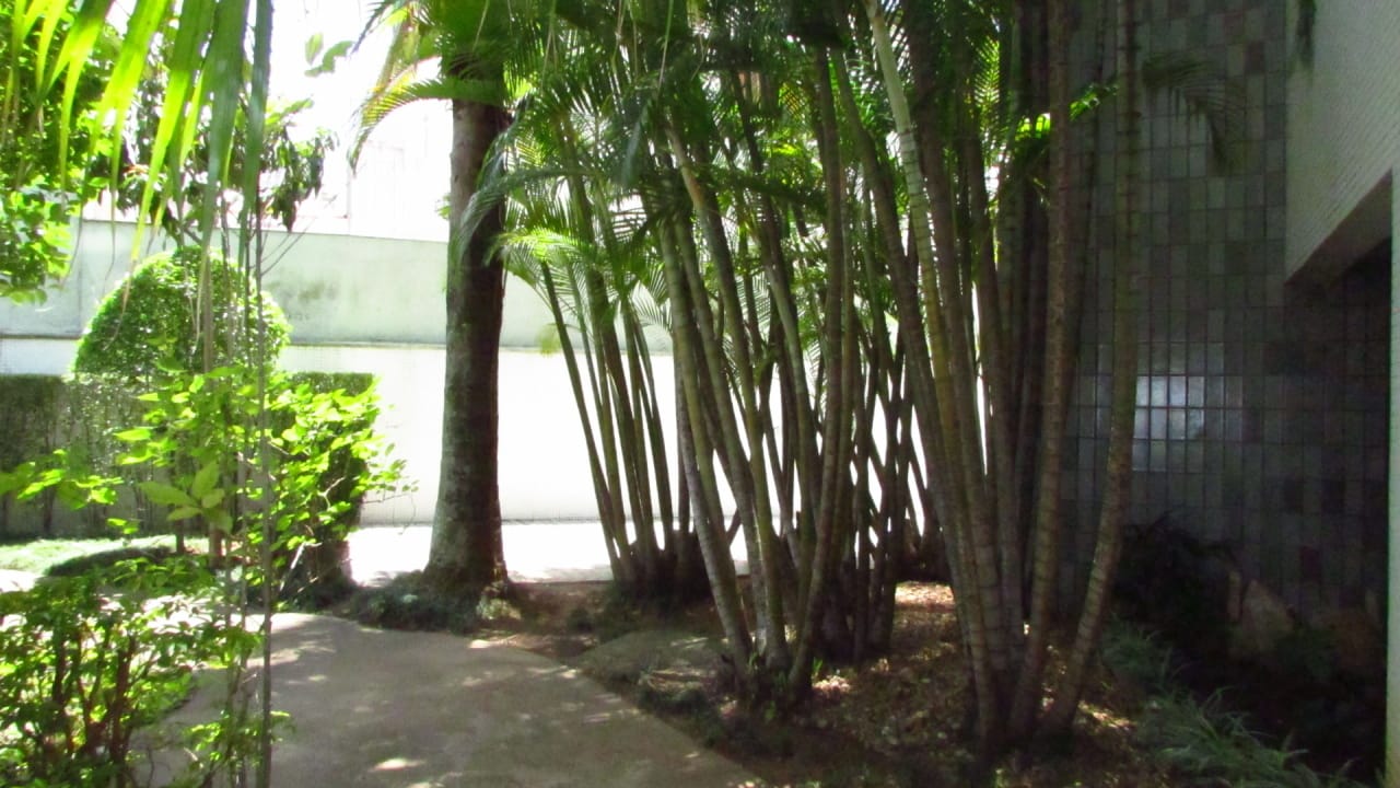 Apartamento, 3 quartos, 226 m² - Foto 7