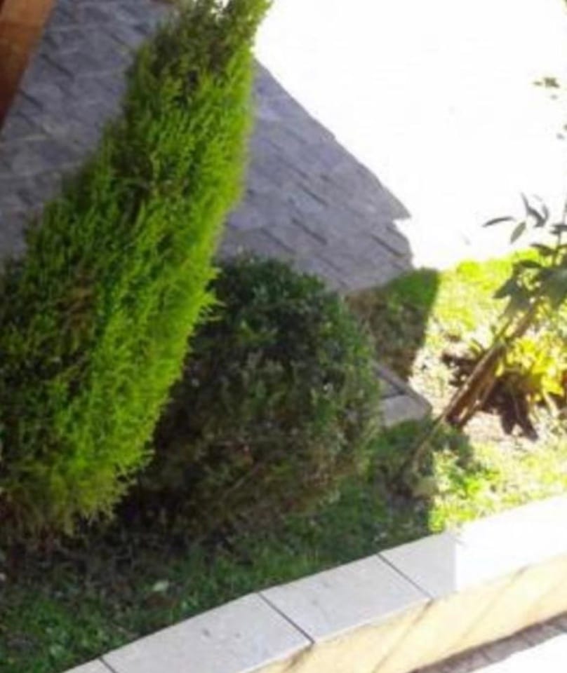 Casa, 4 quartos, 132 m² - Foto 10