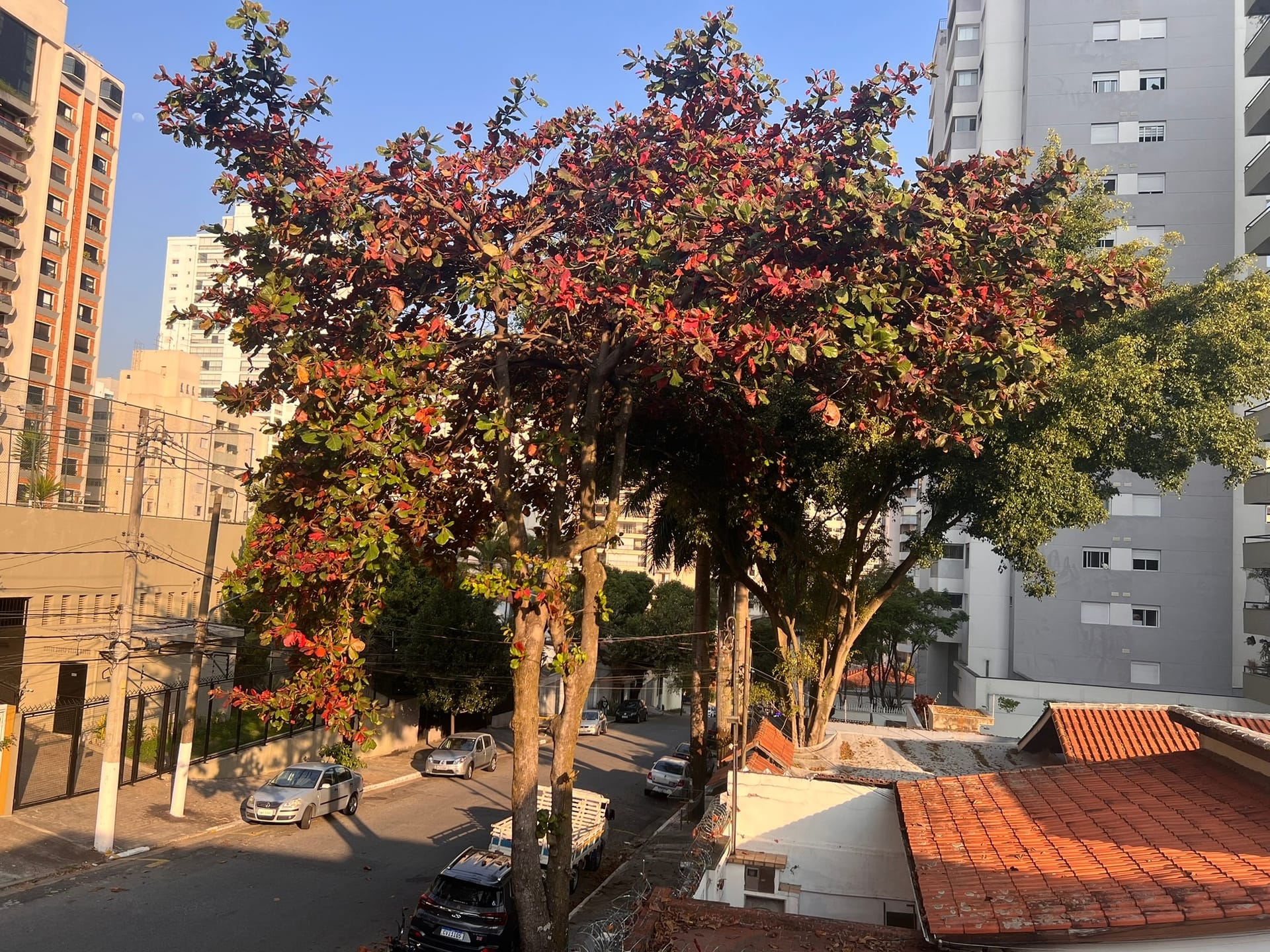 Casa, 3 quartos, 300 m² - Foto 37