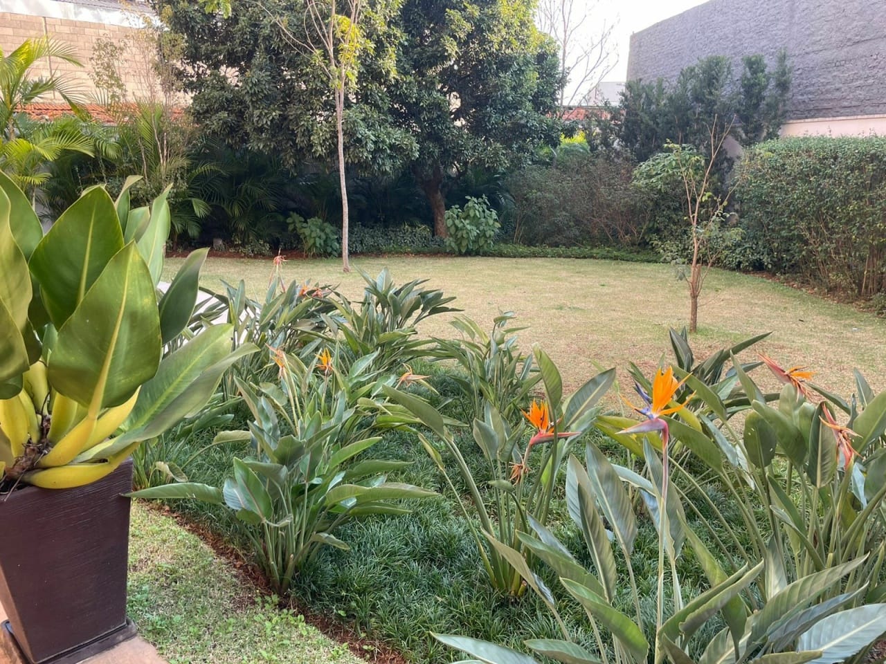 Apartamento, 3 quartos, 75 m² - Foto 18