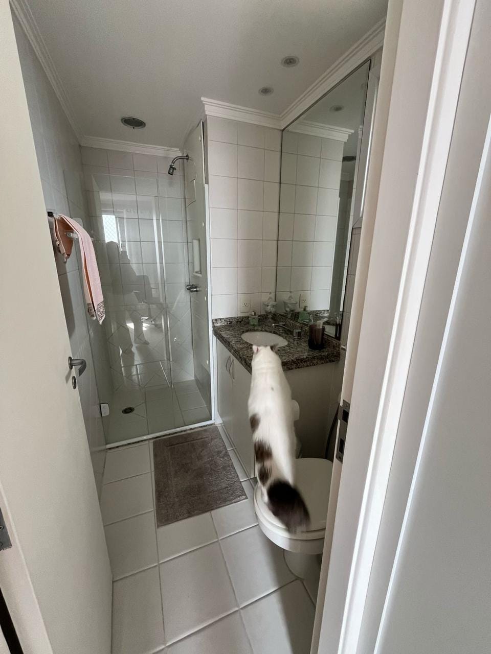 Apartamento, 4 quartos, 117 m² - Foto 13