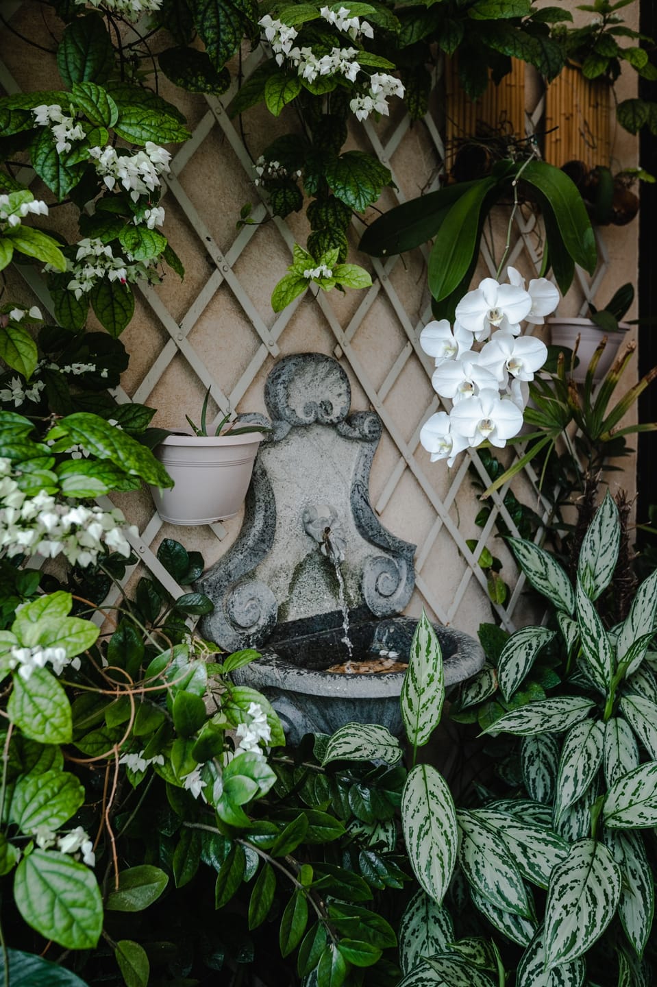 Apartamento, 3 quartos, 355 m² - Foto 23