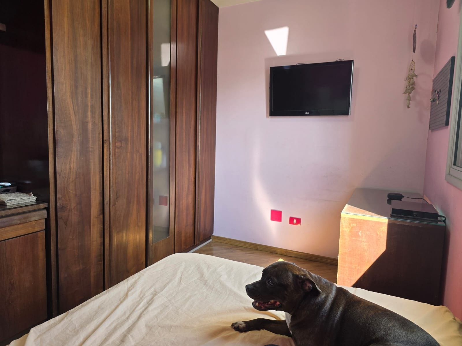 Apartamento, 3 quartos, 78 m² - Foto 46