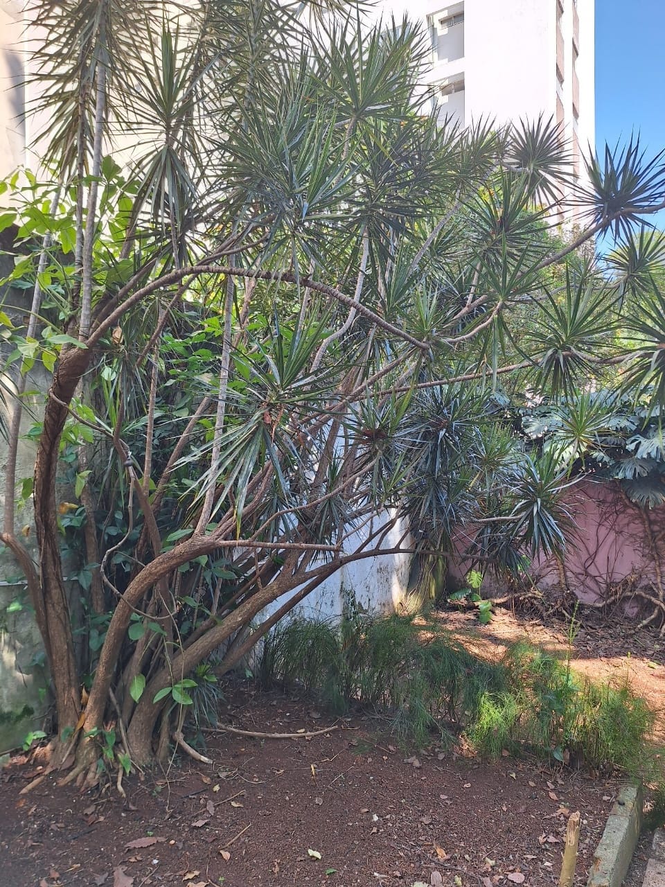 Casa, 2 quartos, 171 m² - Foto 18