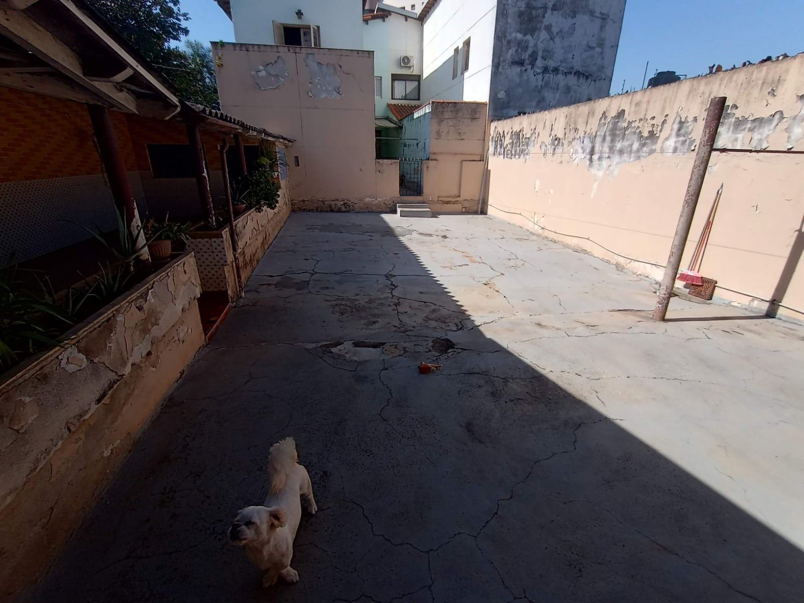 Casa, 5 quartos, 348 m² - Foto 54