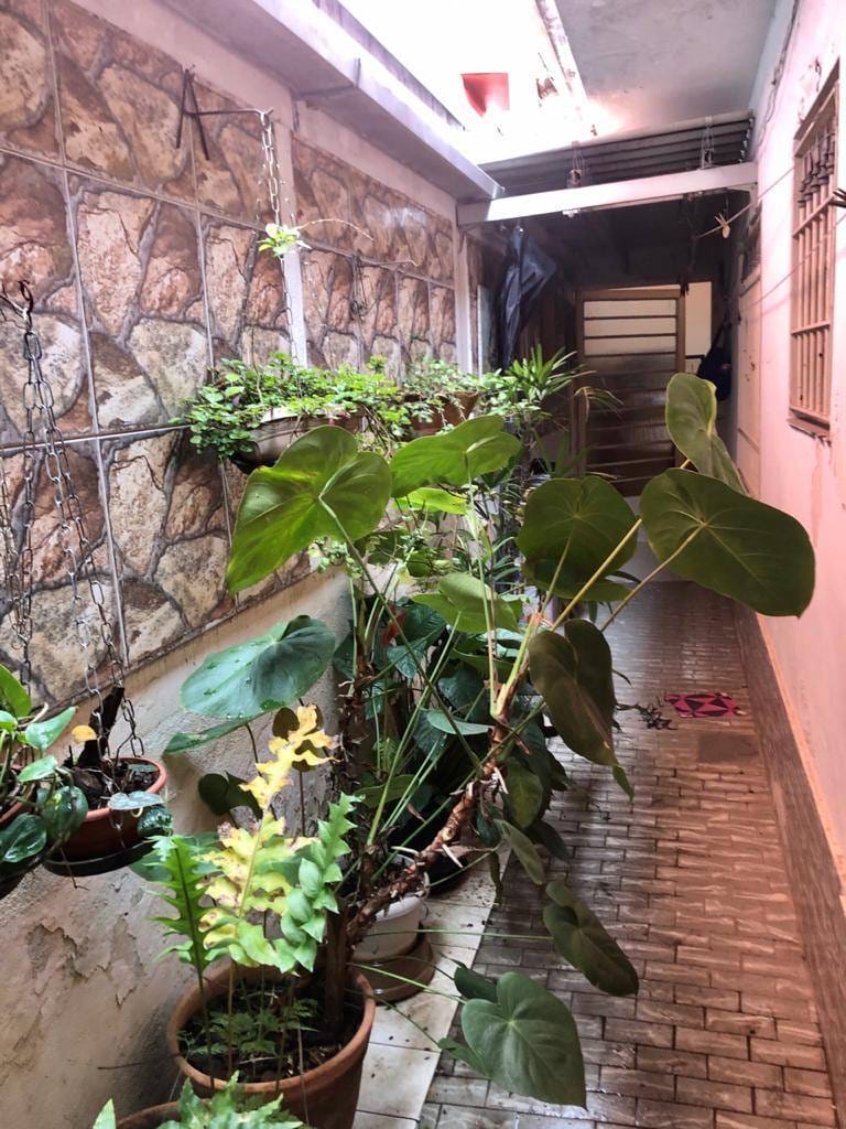 Casa, 3 quartos, 180 m² - Foto 10