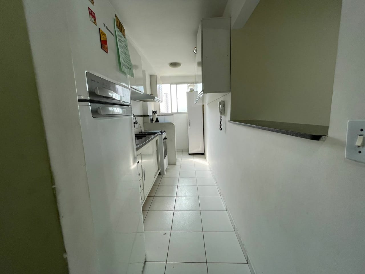Apartamento, 3 quartos, 60 m² - Foto 27