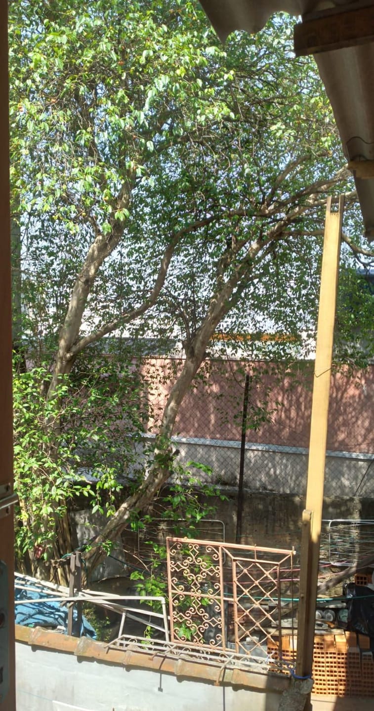 Casa, 6 quartos, 224 m² - Foto 27