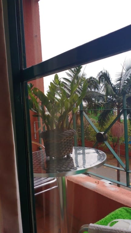 Apartamento, 3 quartos, 64 m² - Foto 18