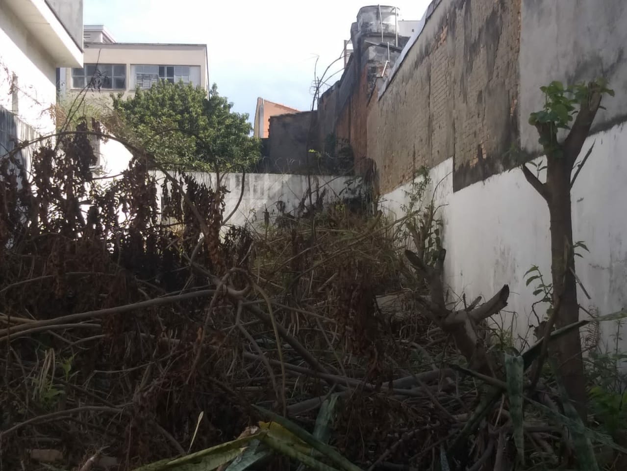 Terreno, 351 m² - Foto 2