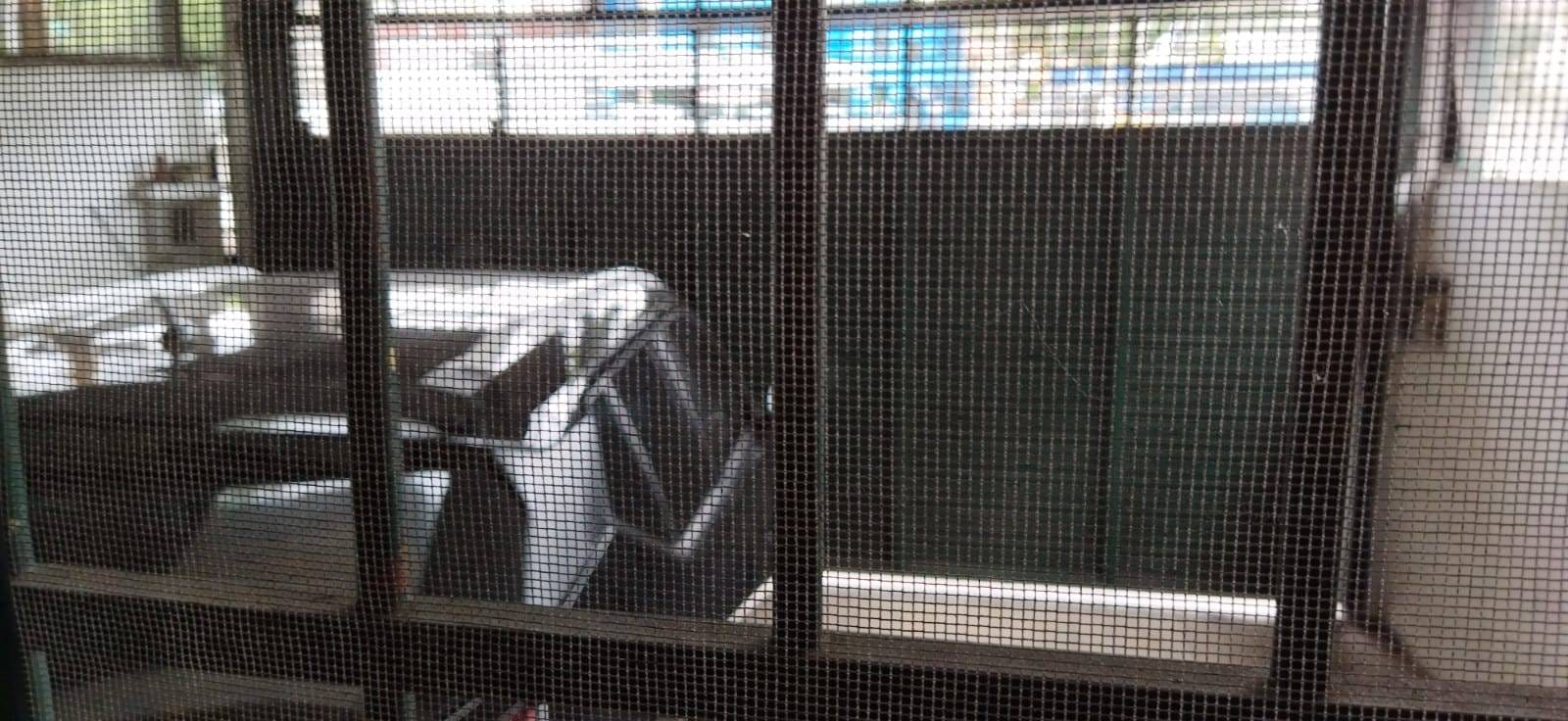 Prédio Inteiro, 190 m² - Foto 18