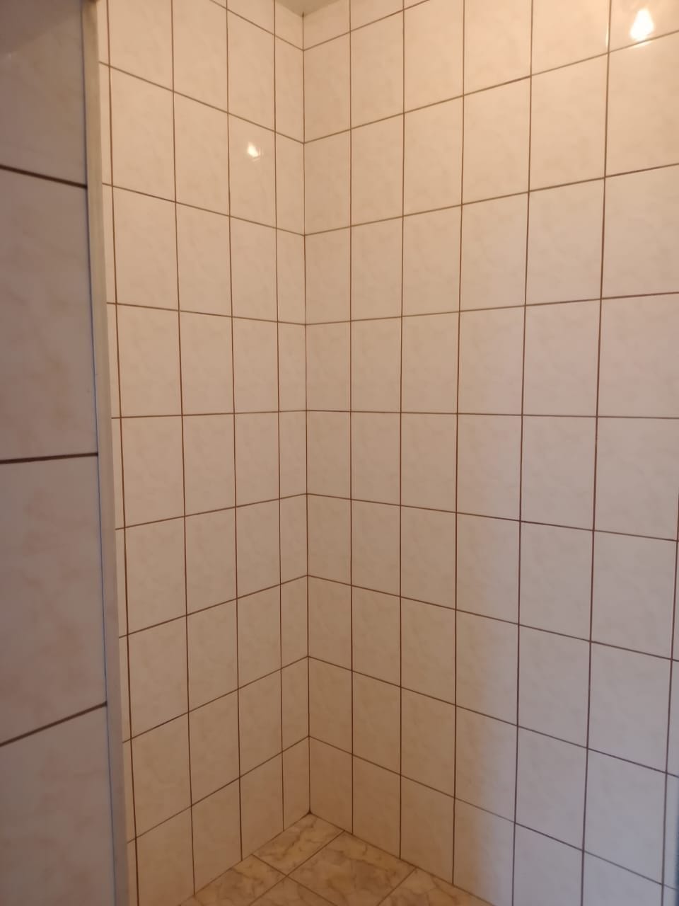 Casa, 5 quartos, 298 m² - Foto 50