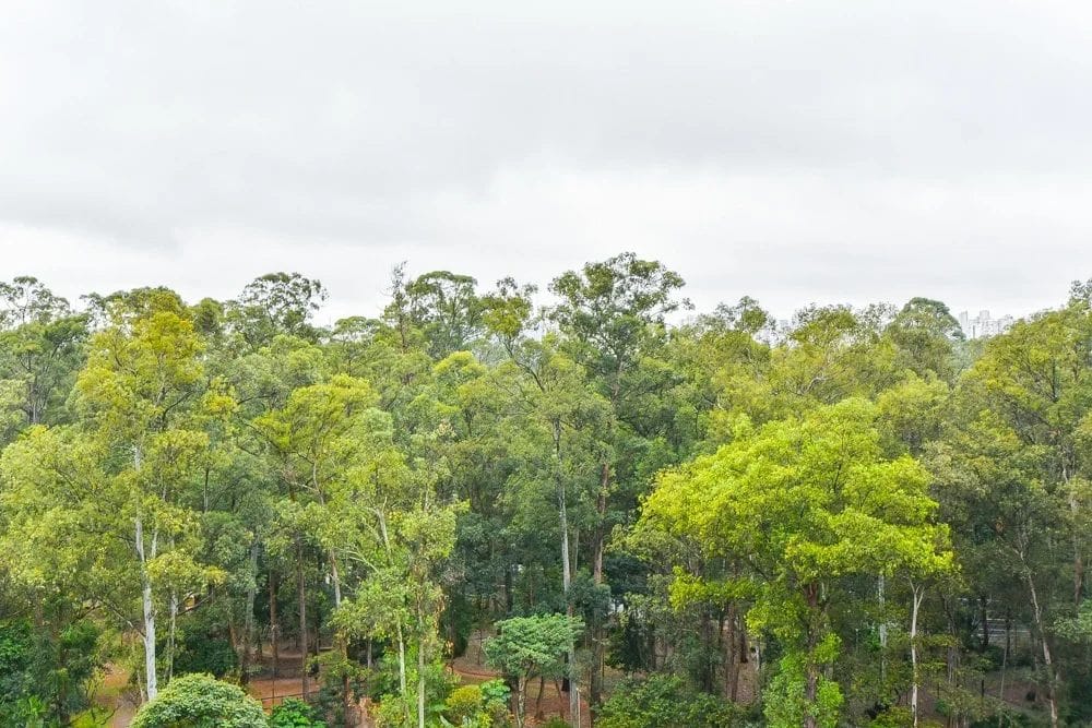 Apartamento, 3 quartos, 244 m² - Foto 8