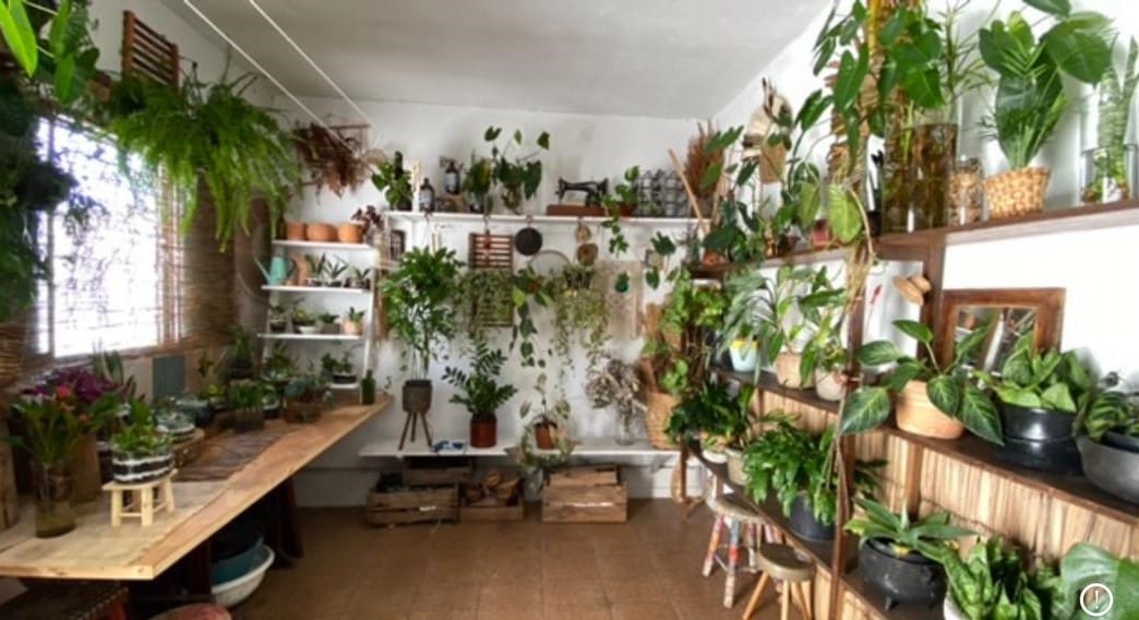 Casa, 3 quartos, 250 m² - Foto 6