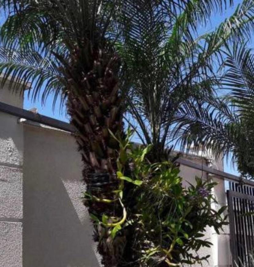 Casa, 4 quartos, 132 m² - Foto 2