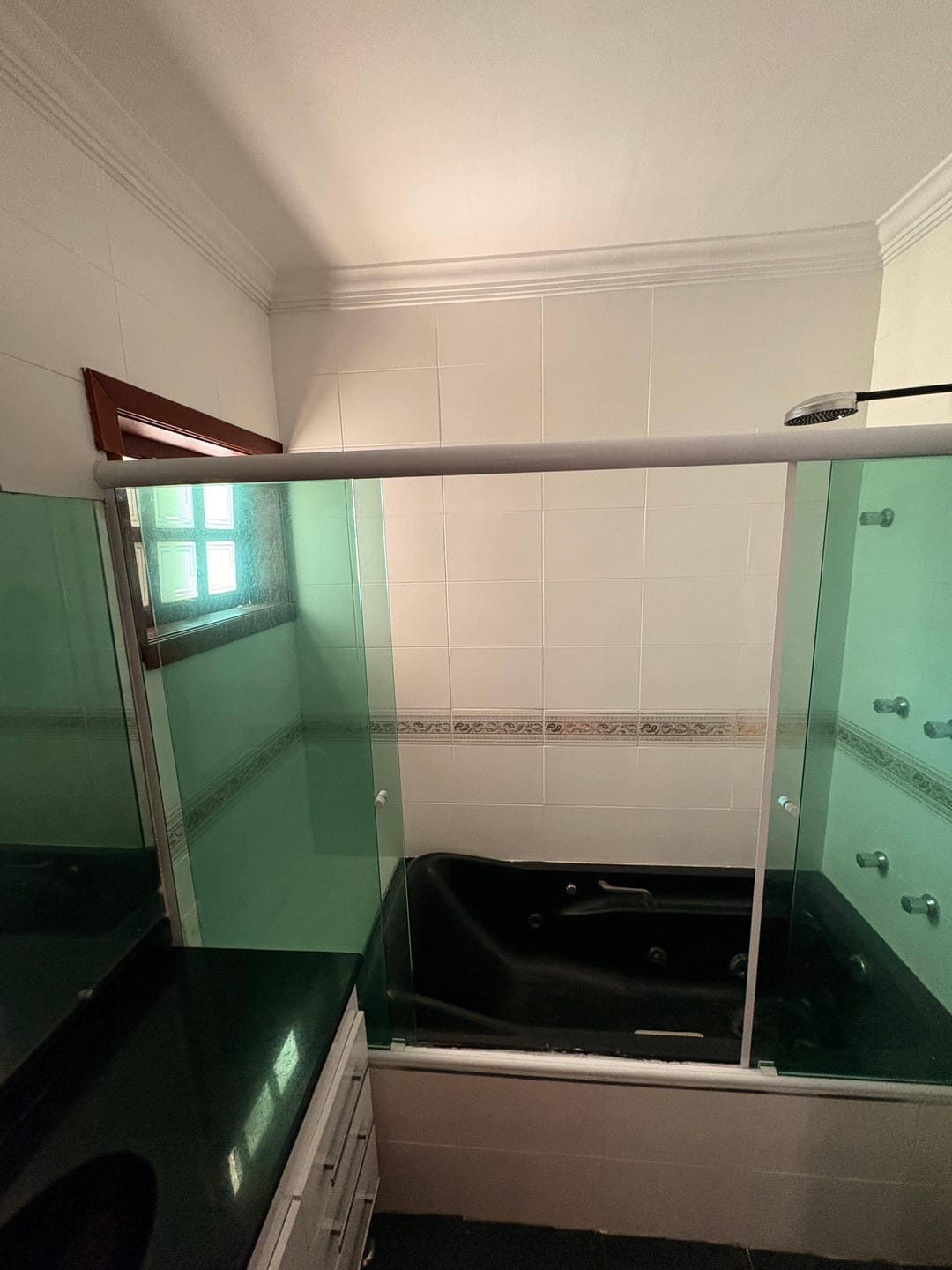 Casa, 4 quartos, 450 m² - Foto 32