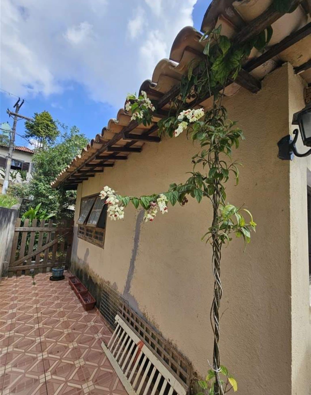 Casa, 3 quartos, 250 m² - Foto 77