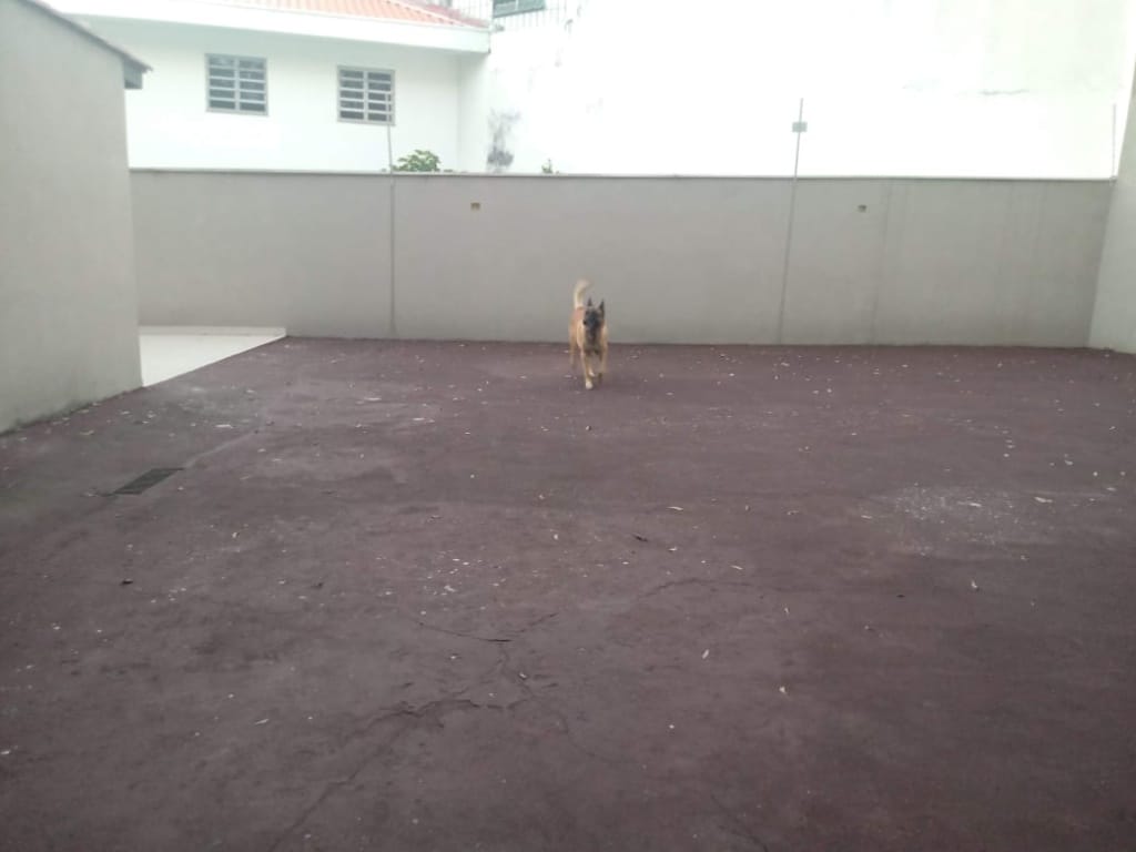 Casa, 4 quartos, 260 m² - Foto 15