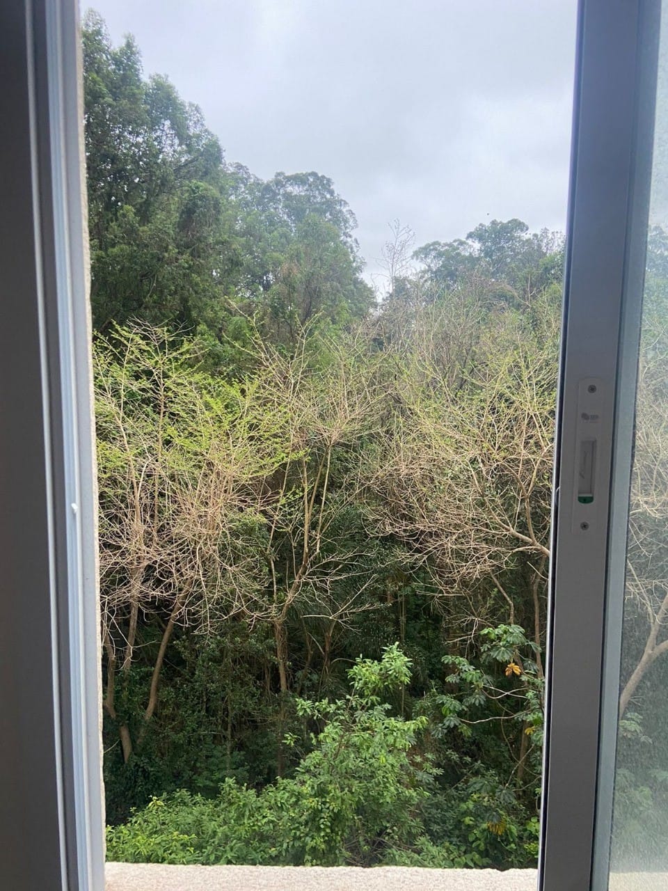 Apartamento, 2 quartos, 32 m² - Foto 15