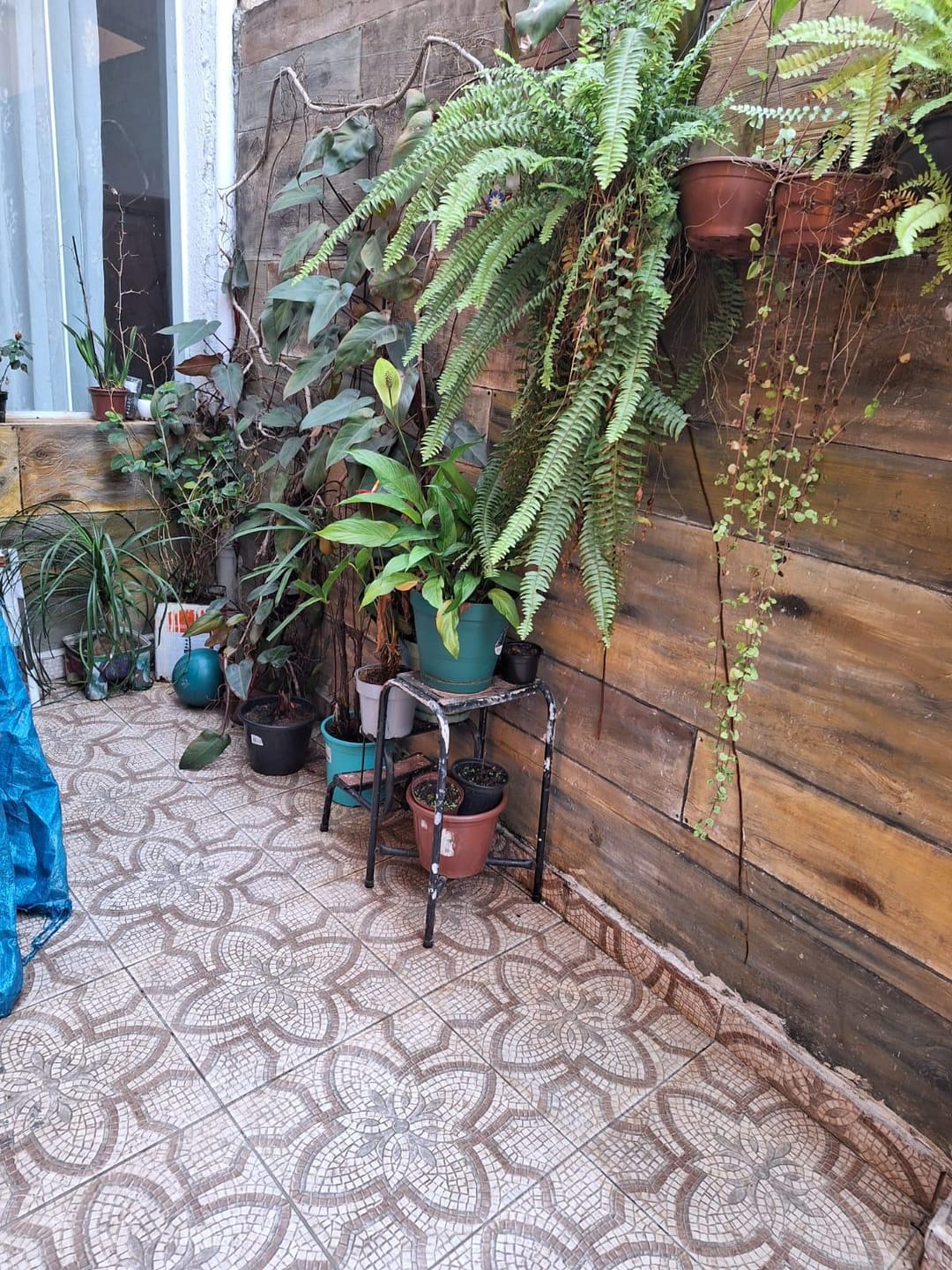 Casa, 3 quartos, 270 m² - Foto 24