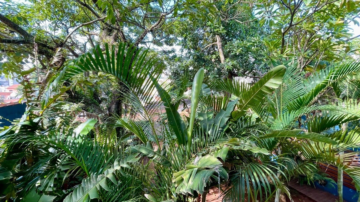 Casa, 3 quartos, 563 m² - Foto 26