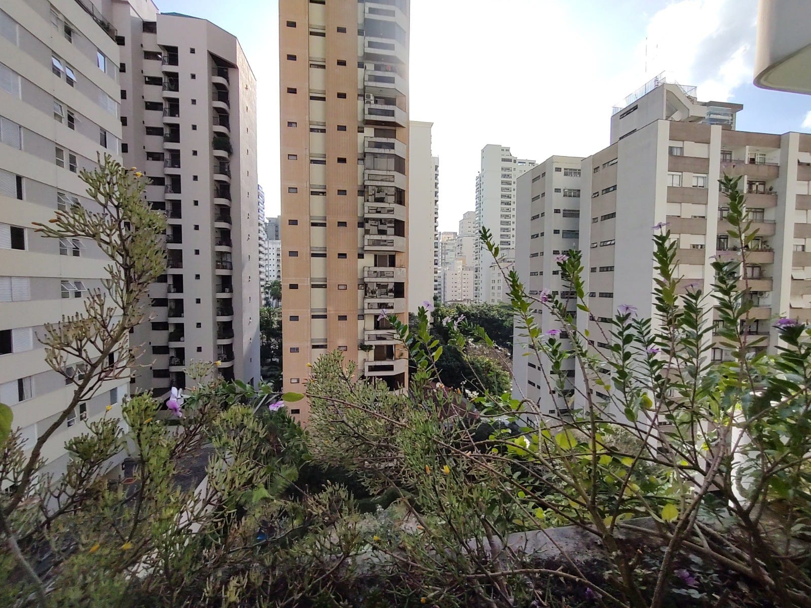 Apartamento, 3 quartos, 112 m² - Foto 31