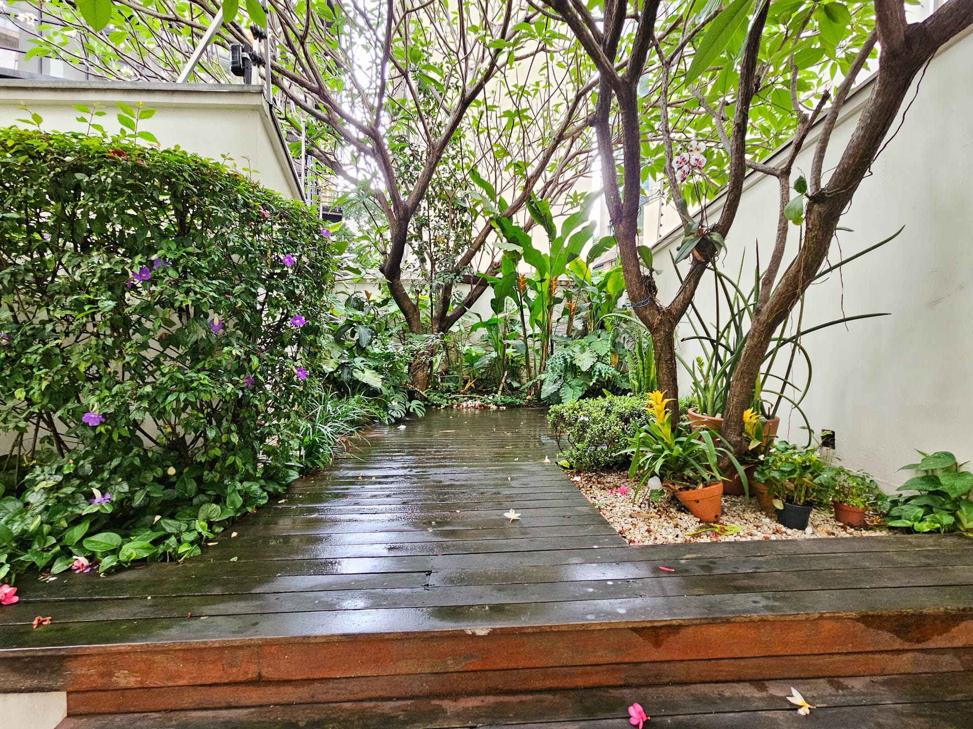 Apartamento, 4 quartos, 226 m² - Foto 22