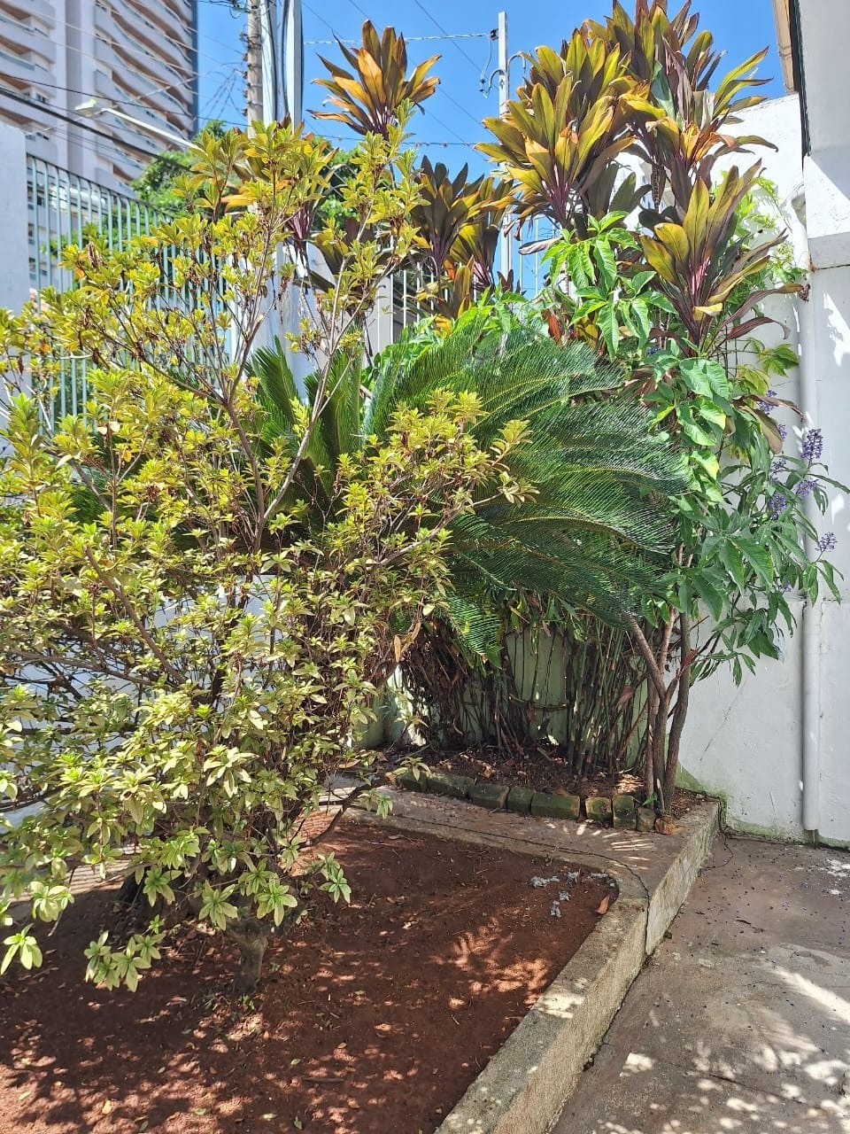 Casa, 2 quartos, 171 m² - Foto 19