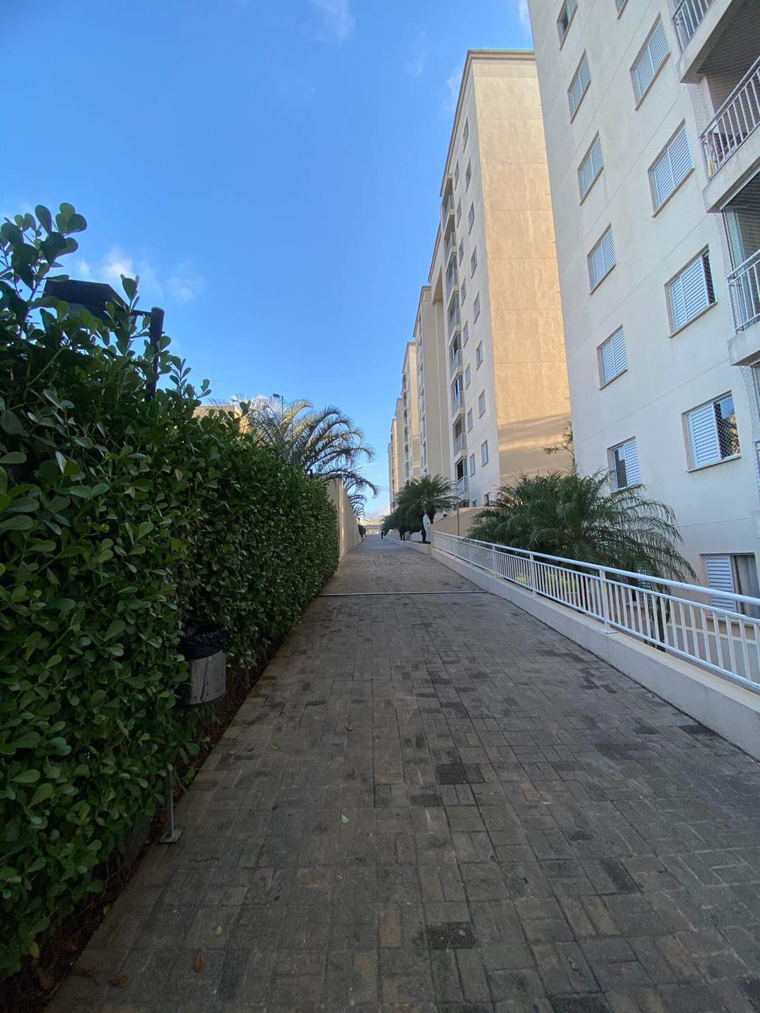 Apartamento, 3 quartos, 80 m² - Foto 12