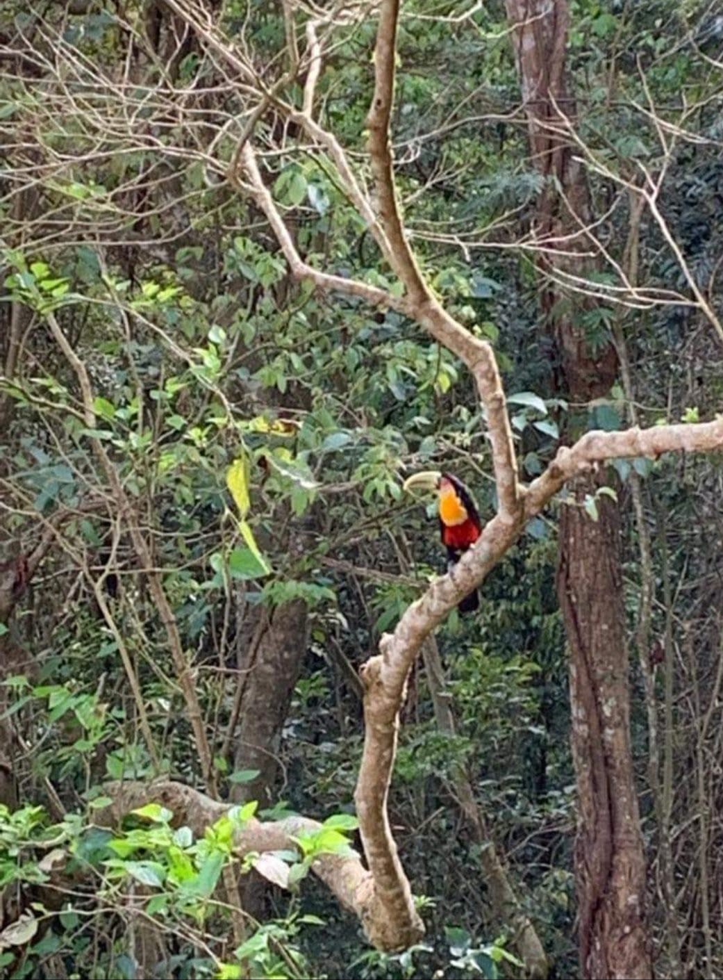 Casa, 3 quartos, 250 m² - Foto 55