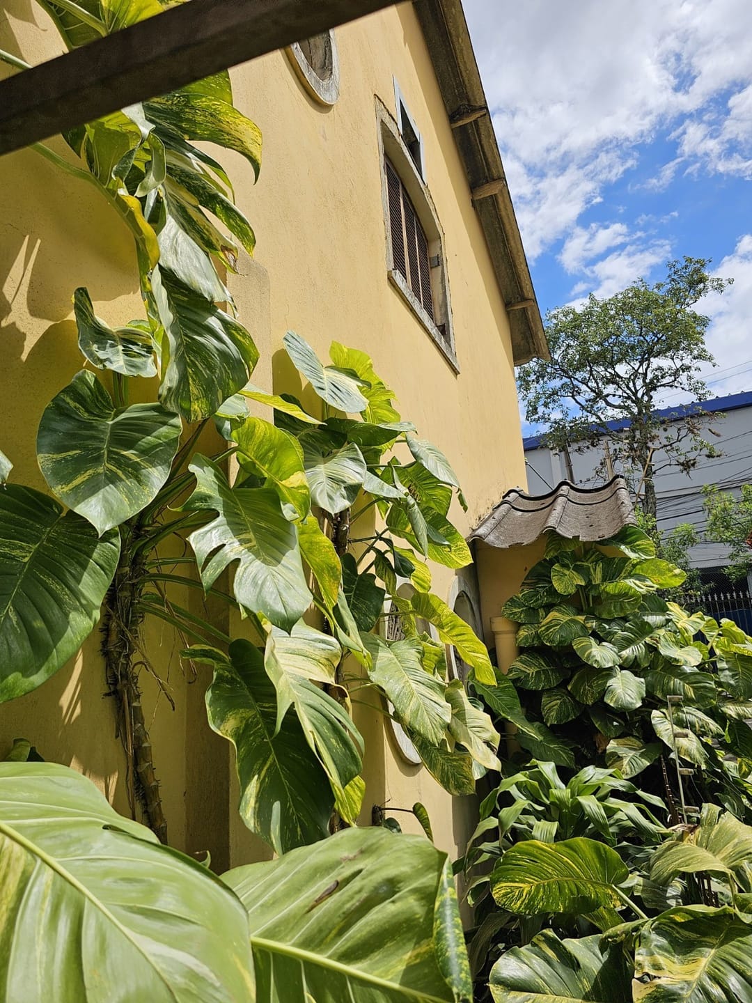 Casa, 3 quartos, 270 m² - Foto 23