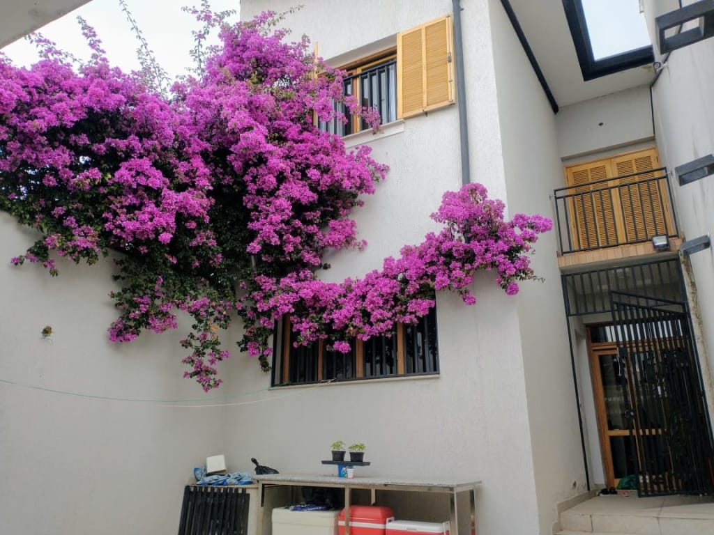 Casa, 3 quartos, 220 m² - Foto 18