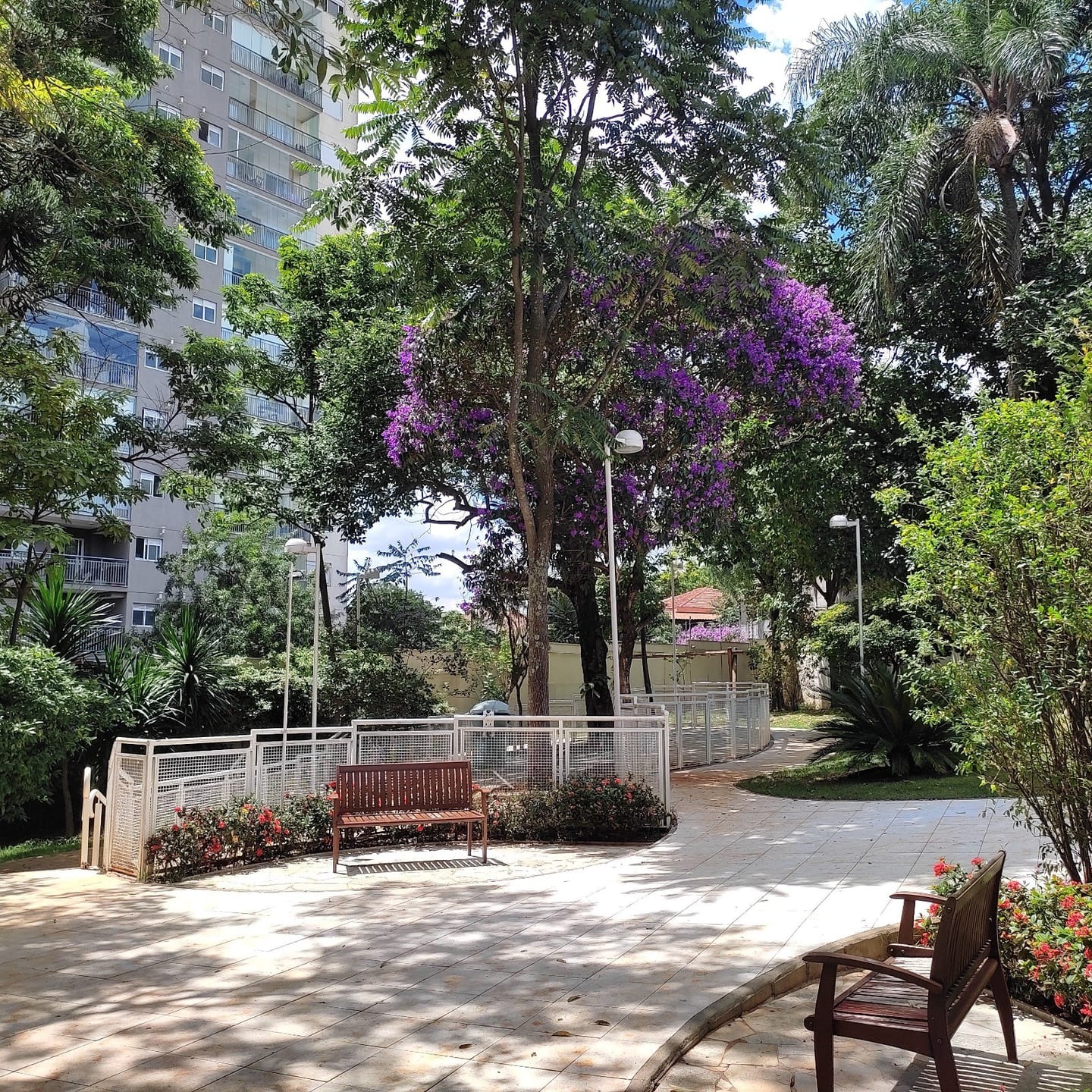 Apartamento, 2 quartos, 57 m² - Foto 24