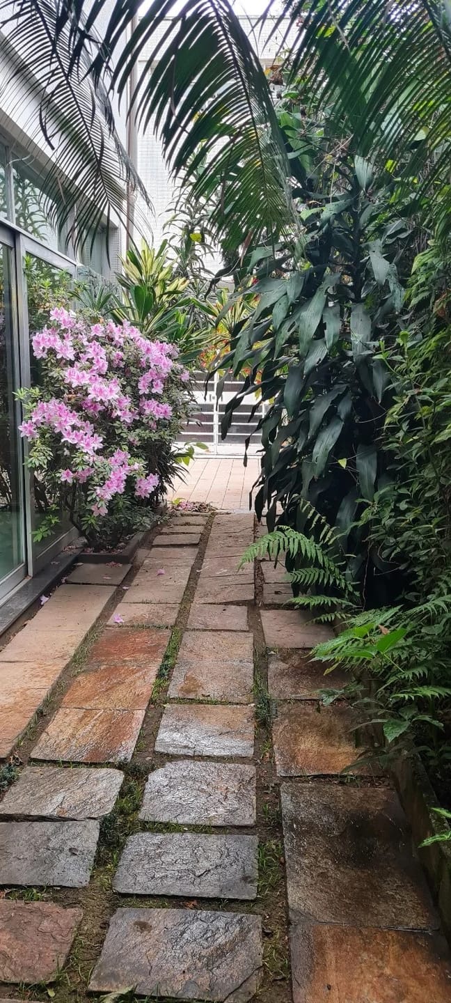 Casa, 4 quartos, 420 m² - Foto 22